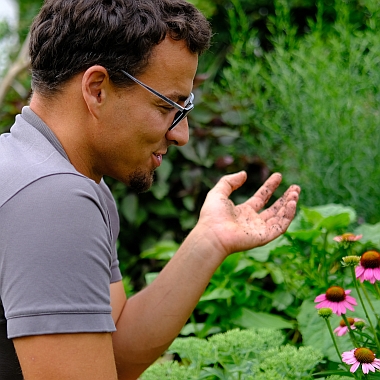 Gartenberatung 2