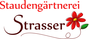 Logo 300 x 131 72 dpi transparent