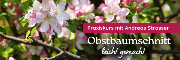 Banner Obstbaumschnitt 2