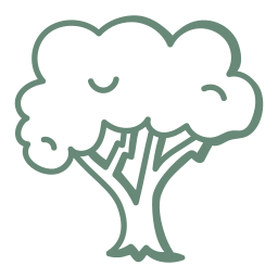 natuerlichen wuchs foerdern icon